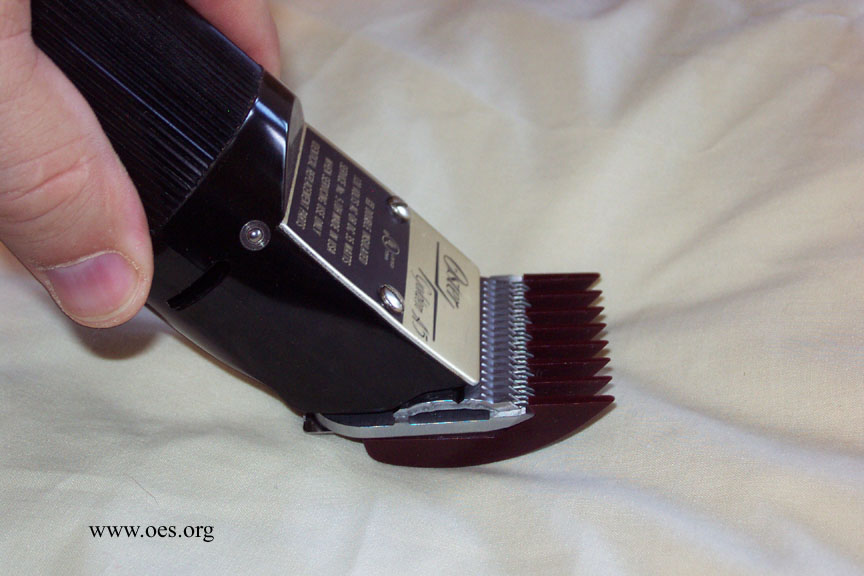 oster 2 inch guard comb