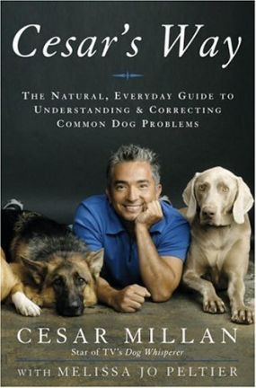 Dog biting itself how to stop, dog training books cesar millan