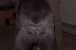 Butt1_4366.jpg