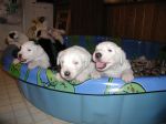 Let us out, let us out!.JPG