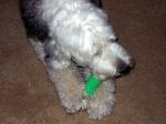 MulliganNylaBone_4048.jpg