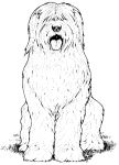 old-english-sheepdog-coloring-page.jpg