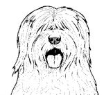 old-english-sheepdog-pumpkin-pattern.jpg