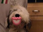 more tessie 017.jpg