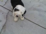 tessie 037.jpg