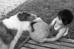 IMG_3027-BW.jpg