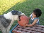 IMG_3027.JPG