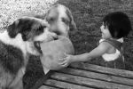 IMG_3030-BW.jpg