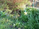 Assorted pics 001.jpg