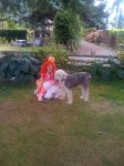 BCSPCA Paws for a Cause 003.jpg