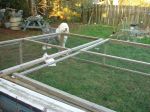 Bunnies 011.jpg