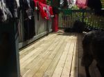 Costumes and Cat room 009.jpg