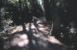 Dog Photos 009.jpg