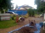 More critters 194.jpg