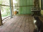 P1010006~8.JPG