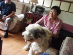 Panda_s Relatives 003.jpg