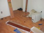 Renos and dogs 002.jpg