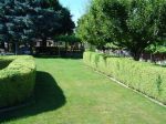 Yard 2[1].jpg