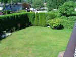front yard 3[2].jpg