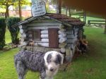 house pics 051.jpg