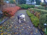 house pics 062.jpg