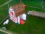 new piggy house 016.JPG