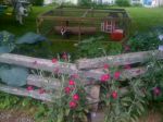new piggy house 024.JPG