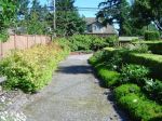 path 3[1].jpg