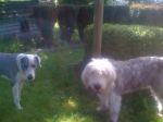 the boys 037.JPG
