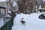 IMG_0210.JPG