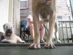 IMG_0850.JPG