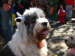 IMG_5695.JPG