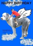 Wings.jpg