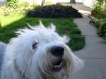 DSC00157.JPG