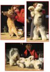 Outtakes.jpg