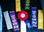 skyribbonsday1and2.jpg