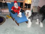 Carl, Santa & Singing Sheepdog.JPG