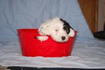 DSC_0711.JPG