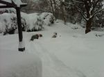 IMG00113-20100206-0739.jpg