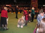 IMG_0011~0.jpg