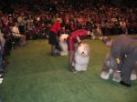 IMG_0023~0.jpg