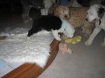 IMG_2033.JPG