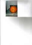 Morgan_s pumpkin.jpg