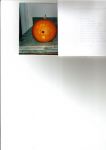 Morgan_s pumpkin.jpg