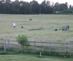 rsz_IMG_2394.jpg