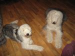 IMG_0761.JPG