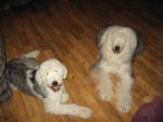 IMG_0762.JPG