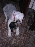 DSCN0509.JPG