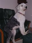 marls 010.JPG