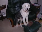 marls 011.JPG